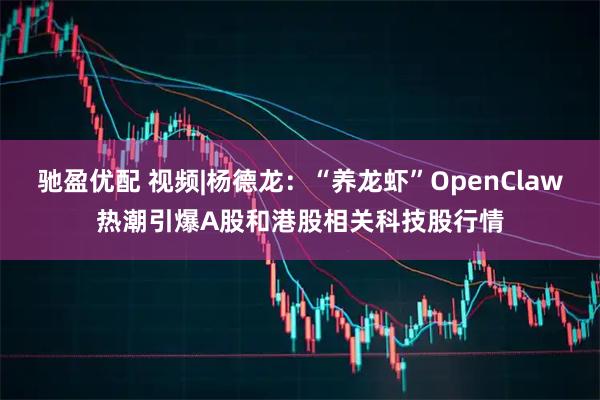驰盈优配 视频|杨德龙：“养龙虾”OpenClaw热潮引爆A股和港股相关科技股行情