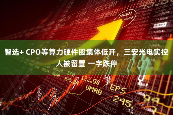 智选+ CPO等算力硬件股集体低开,三安光电实控人被留置 一字跌停